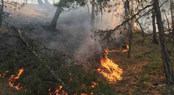 Eskişehir'de korkutan orman yangınları