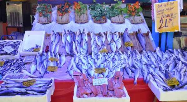 Eskişehir'de koronavirüs döneminde onların yüzü güldü