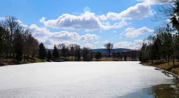 Eskişehir'de Mart ayının ortasında şok eden görüntü!