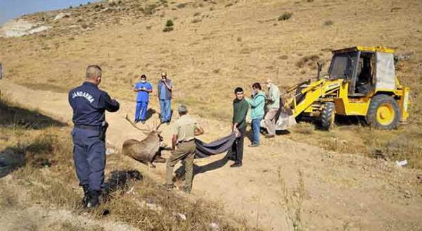 Eskişehir'de nefes kesen kurtarma operasyonu