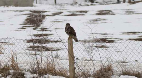 Eskişehir'de o bölgeler buz kesti!