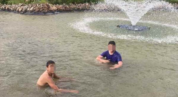 Eskişehir'de onları gören şaştı kaldı!