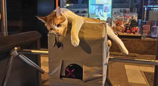 Eskişehir'de onu bu halde gören telefonuna sarıldı