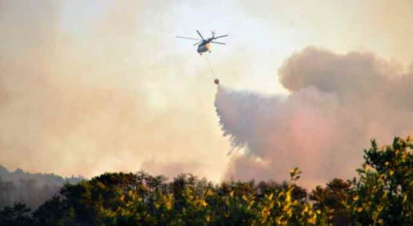 Eskişehir'de orman yangını