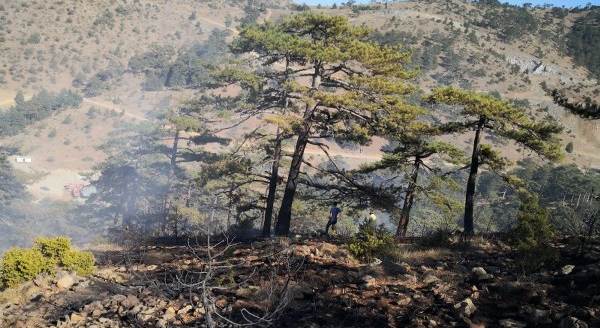 Eskişehir’de orman yangını