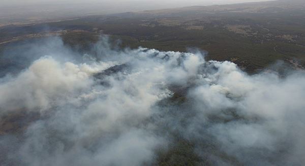 Eskişehir'de orman yangını