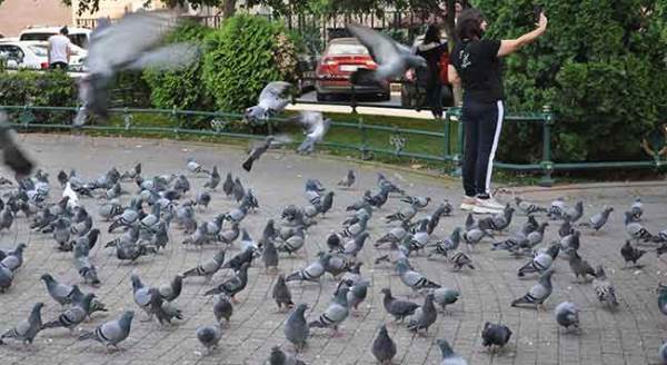 Eskişehir'de pandemi onları da vurdu!