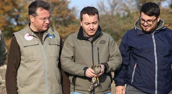 Eskişehir'de sağlıklarına kavuşup, özgürlüğe uçtular