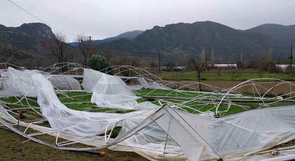 Eskişehir'de şiddetli rüzgar seraları harabeye çevirdi