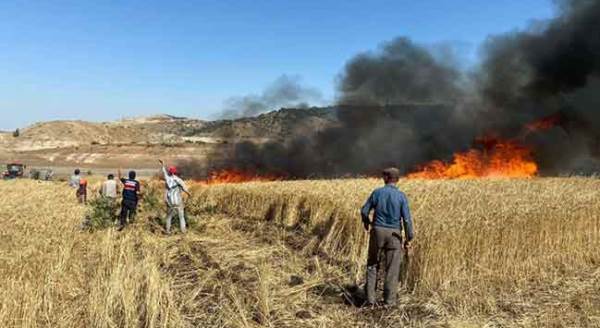 Eskişehir'de siyah dumanlar... Bütün emekleri kül oldu!