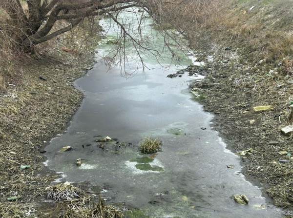 Eskişehir'de soğuk hava bu hale getirdi!