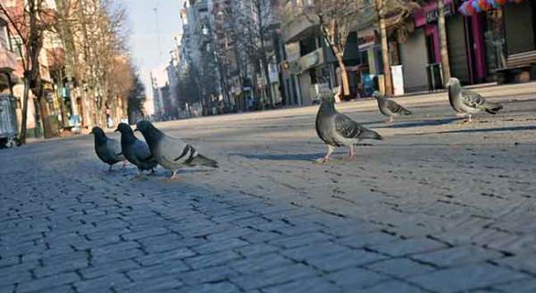 Eskişehir'de sokaklar bugün onların!