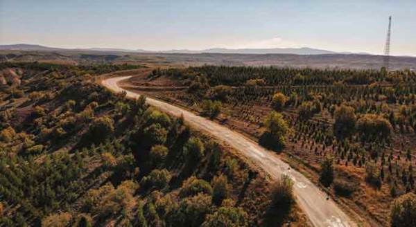 Eskişehir'de sonbahar renk cümbüşü ile geldi!