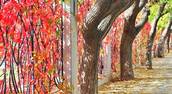 Eskişehir'de sosyal medyanın yeni adresi burası! 