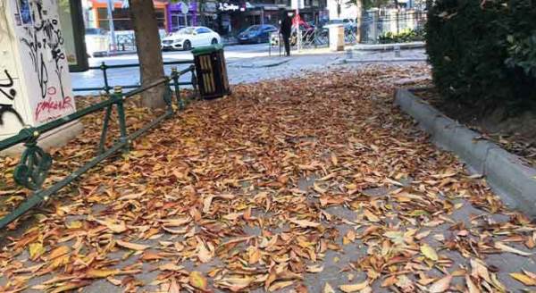 Eskişehir'de tablo gibi sonbahar manzaraları