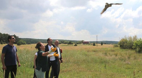 Eskişehir'de tedavisi biten kuşlar doğaya bırakıldı