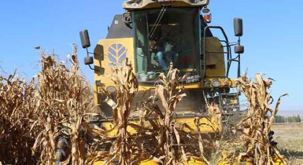 Eskişehir’de tehlike çanları: Kuraklık onları da vurdu!