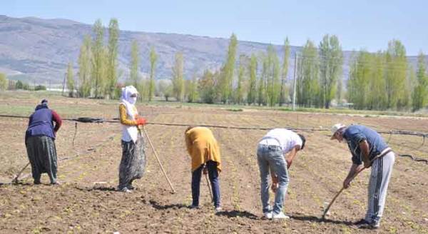 Eskişehir'de üretim hız kesmiyor!