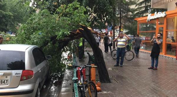 Eskişehir'de yağmur ağaçları devirdi!