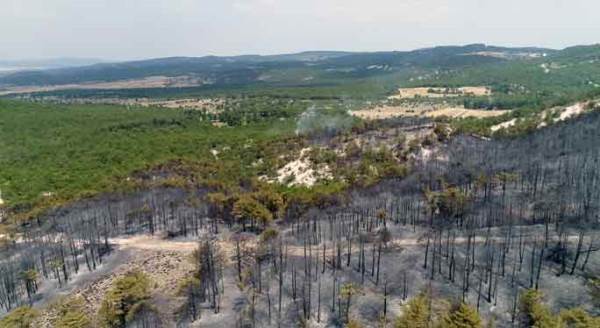 Eskişehir'de yangından geriye bu görüntüler kaldı