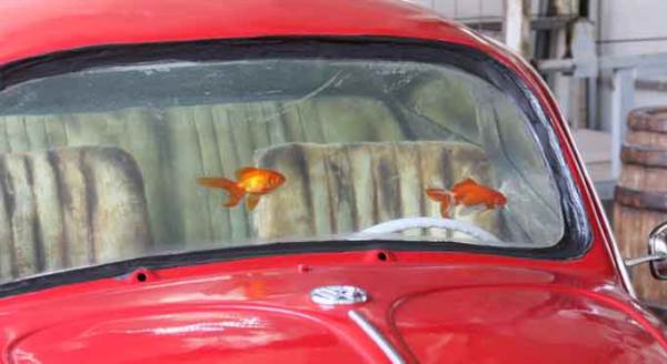 Eskişehir'de yapıldı, Türkiye'de tek!