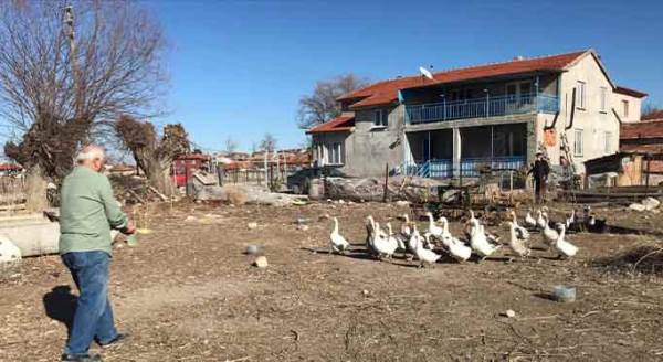 Eskişehir'de yetiştiriyor, kapışılıyor!