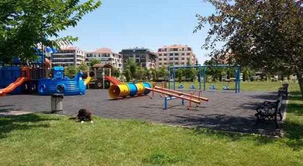 Eskişehir'de yine sıra dışı görüntüler