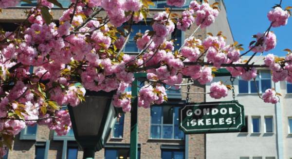 Eskişehir'de yolunuz bu manzaraya mutlaka düşmeli