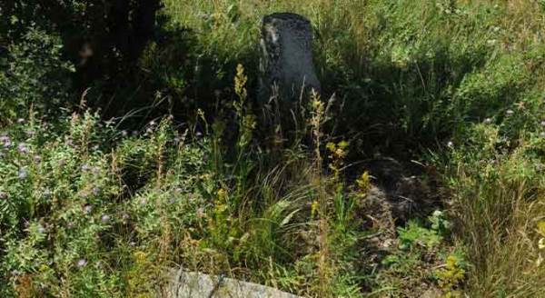 Eskişehir'de yürekleri burkan görüntüler!