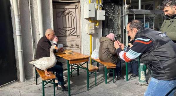 Eskişehir'deki garip ikiliyi fotoğraflamak için sıraya girdiler!