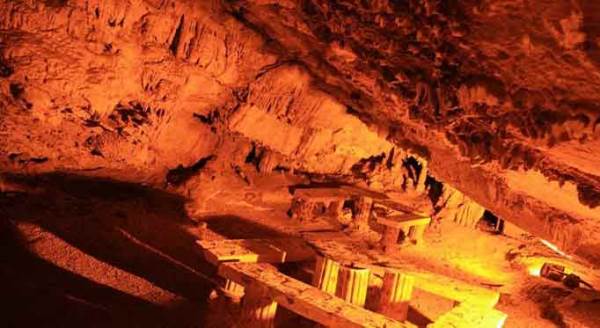 Eskişehir'deki o mağarada yeni türler tespit edildi