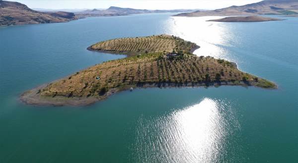 Eskişehir'den ayrılıp adaya yerleşti!