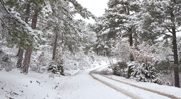 Eskişehir'den muhteşem kar manzaraları