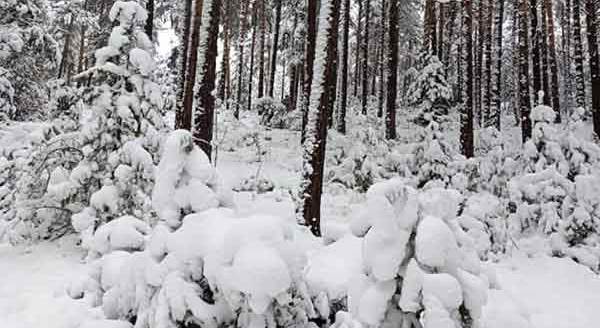 Eskişehir'e 50 kilometre mesafede eşsiz görüntüler