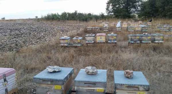 Eskişehir'e kötü haber, bu kış...