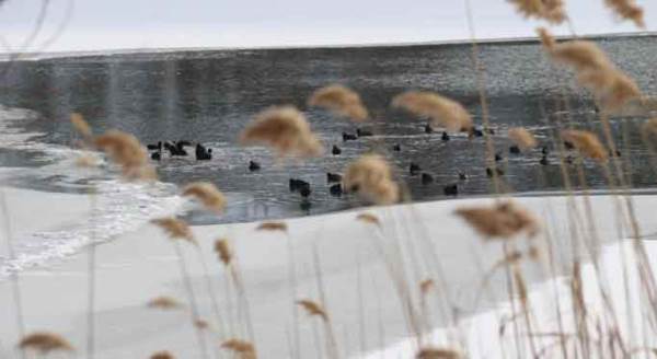 Eskişehir'e sadece 22 kilometre mesafede büyüleyen görüntüler