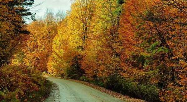 Eskişehir'e sadece 80 kilometre mesafedeki saklı cennet büyülüyor!