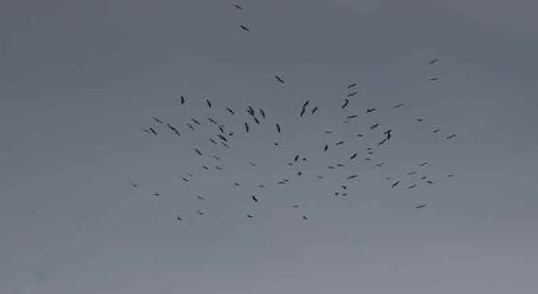 Eskişehir gökyüzünde görsel şölen