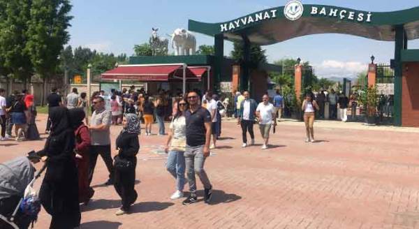 Eskişehir Hayvanat Bahçesi'ne yoğun ilgi!