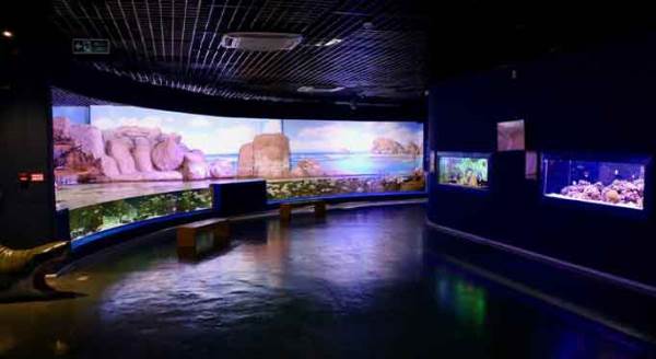 Eskişehir Hayvanat Bahçesi ve Sualtı Dünyası yenilendi, ziyaretçilerini bekliyor