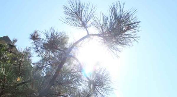 Eskişehir'i çöl sıcakları vurdu!