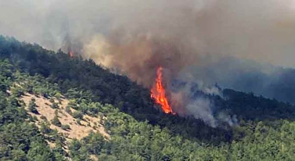 Eskişehir'i korkutan yangın kontrol altında