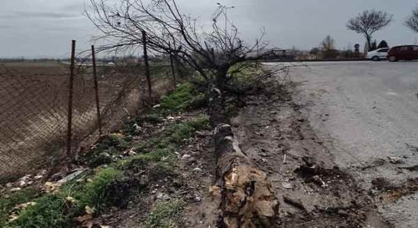 Eskişehir'i lodos vurdu! Kentin dört bir yanında...