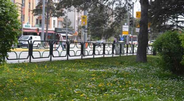 Eskişehir'i şenlendiren görüntüler! Seyrine doyulmuyor...