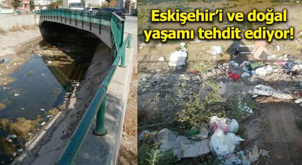 Eskişehir'i ve doğal yaşamı tehdit ediyor