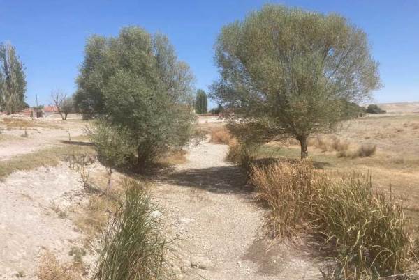 Eskişehir için çok önemliydi, kuraklık sonunu getirdi!