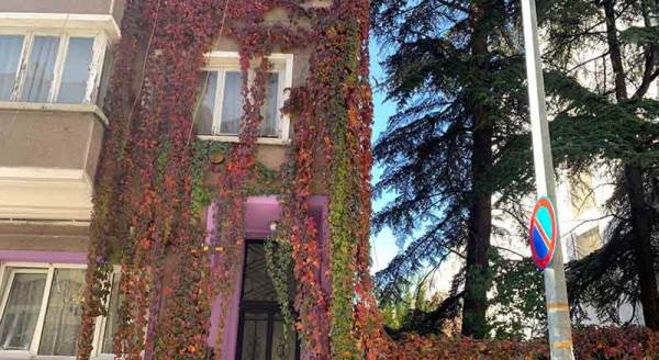 Eskişehir'in duvarlarında renk cümbüşü