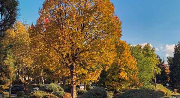 Eskişehir'in göbeğinde hayran bırakan manzara