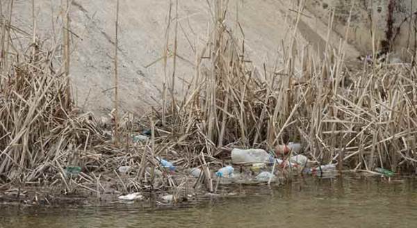 Eskişehir'in göbeğinde utandıran görüntü!
