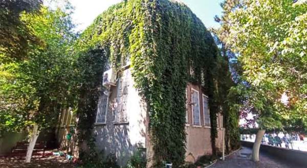 Eskişehir'in göbeğindeki cami görenleri şaşırtıyor